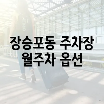 장승포동 주차장 월주차 옵션