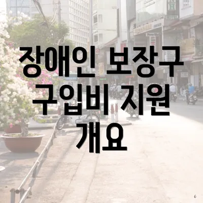장애인 보장구 구입비 지원 개요