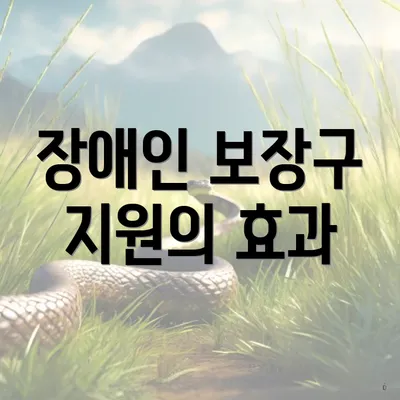 장애인 보장구 지원의 효과