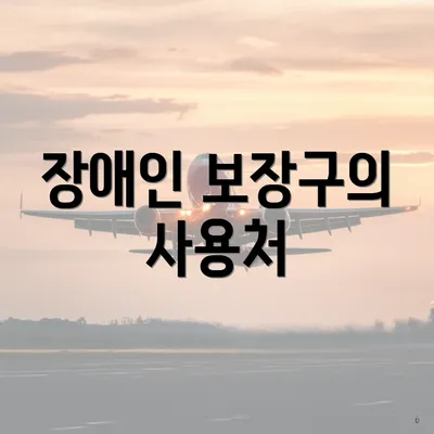 장애인 보장구의 사용처