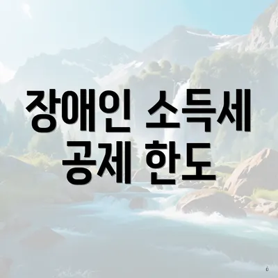 장애인 소득세 공제 한도