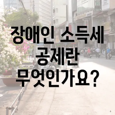 장애인 소득세 공제란 무엇인가요?