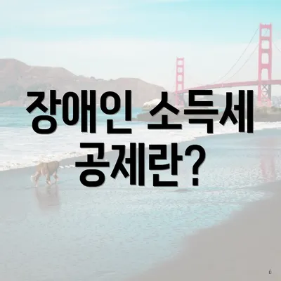 장애인 소득세 공제란?