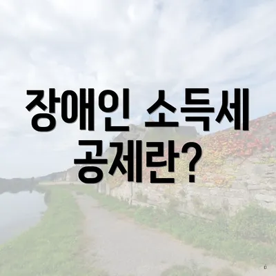 장애인 소득세 공제란?