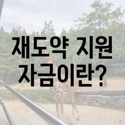 재도약 지원 자금이란?