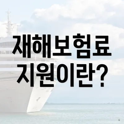 재해보험료 지원이란?