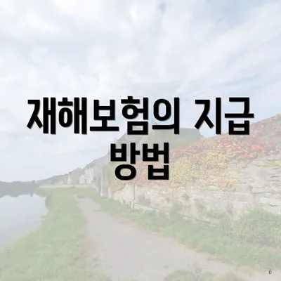 재해보험의 지급 방법