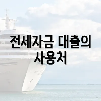 전세자금 대출의 사용처