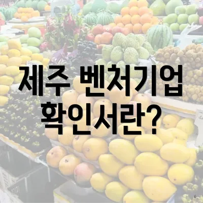 제주 벤처기업 확인서란?