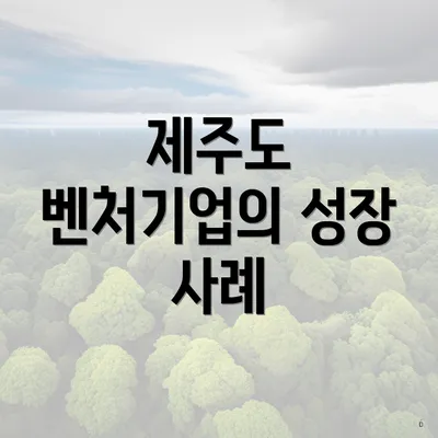 제주도 벤처기업의 성장 사례