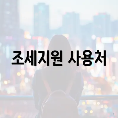 조세지원 사용처
