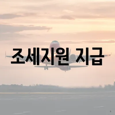 조세지원 지급