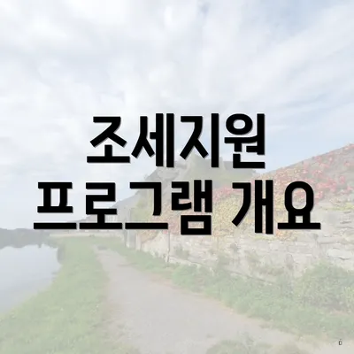 조세지원 프로그램 개요