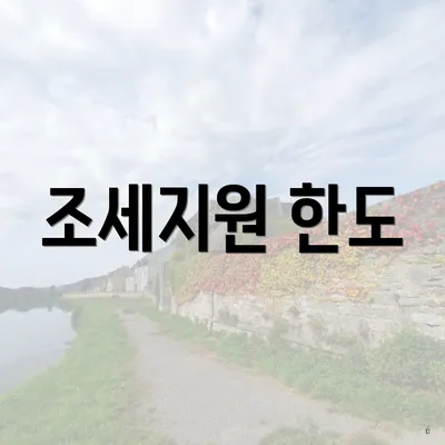 조세지원 한도