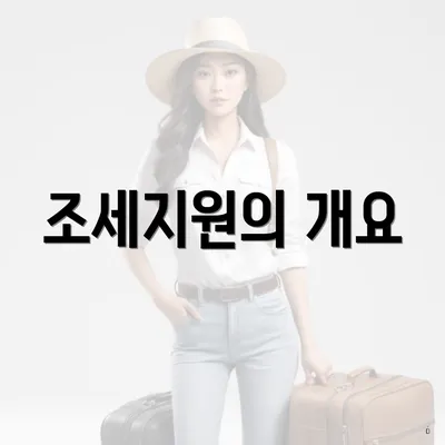조세지원의 개요