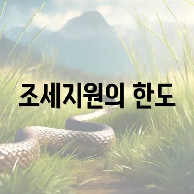 조세지원의 한도