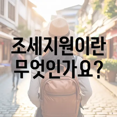 조세지원이란 무엇인가요?