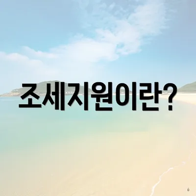 조세지원이란?