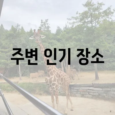 주변 인기 장소