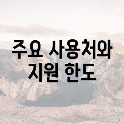 주요 사용처와 지원 한도