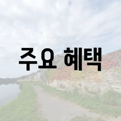 주요 혜택