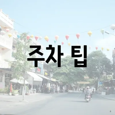 주차 팁