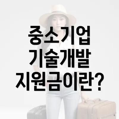 중소기업 기술개발 지원금이란?