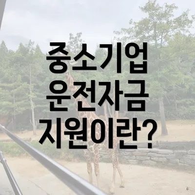 중소기업 운전자금 지원이란?