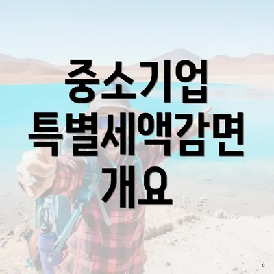 중소기업 특별세액감면 개요