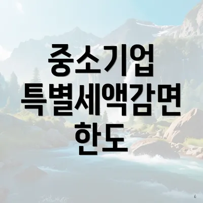 중소기업 특별세액감면 한도
