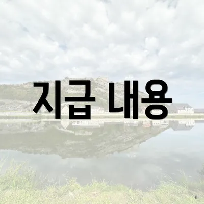 지급 내용