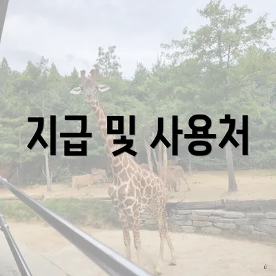 지급 및 사용처