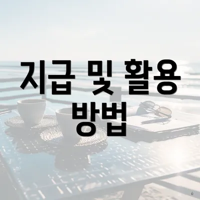 지급 및 활용 방법