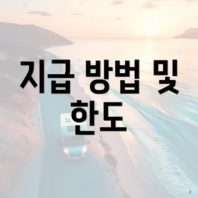 지급 방법 및 한도