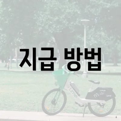 지급 방법