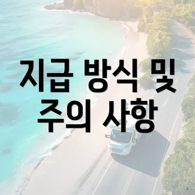 지급 방식 및 주의 사항