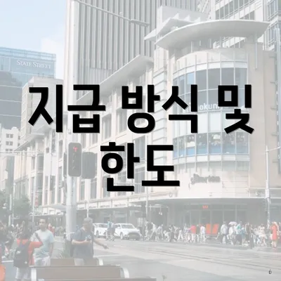 지급 방식 및 한도