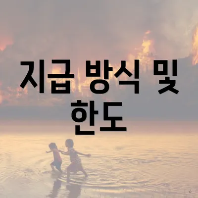 지급 방식 및 한도