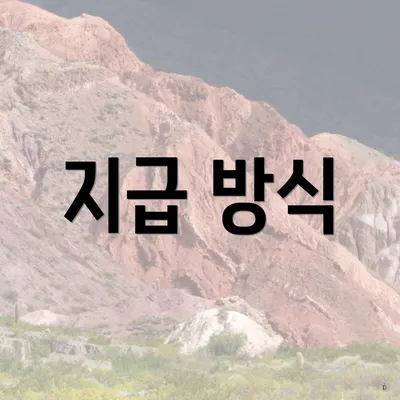 지급 방식