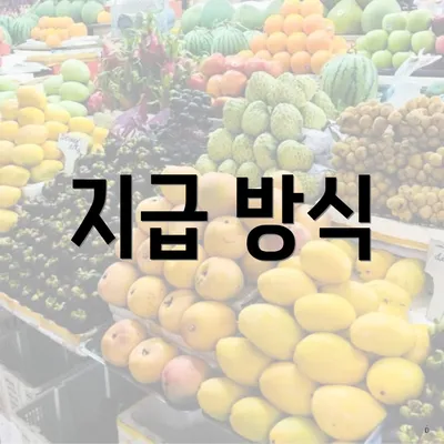 지급 방식