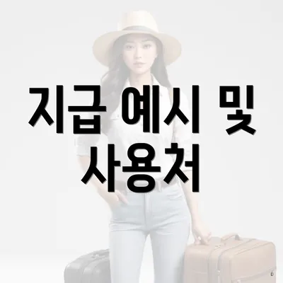 지급 예시 및 사용처
