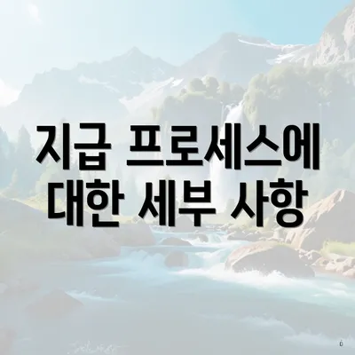 지급 프로세스에 대한 세부 사항