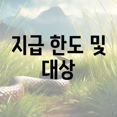 지급 한도 및 대상