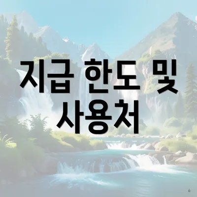 지급 한도 및 사용처