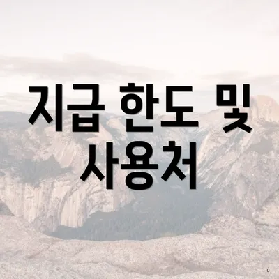 지급 한도 및 사용처