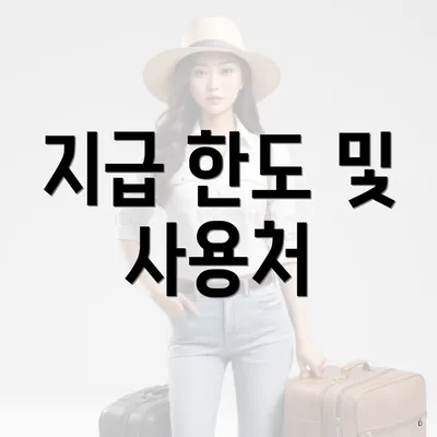 지급 한도 및 사용처