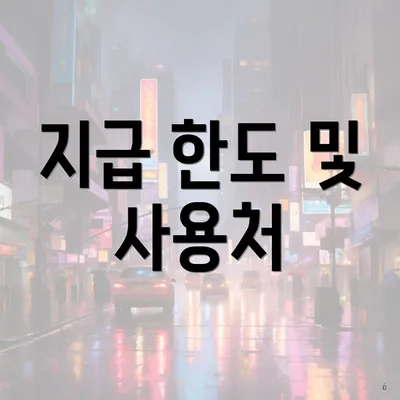지급 한도 및 사용처