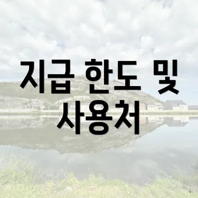 지급 한도 및 사용처