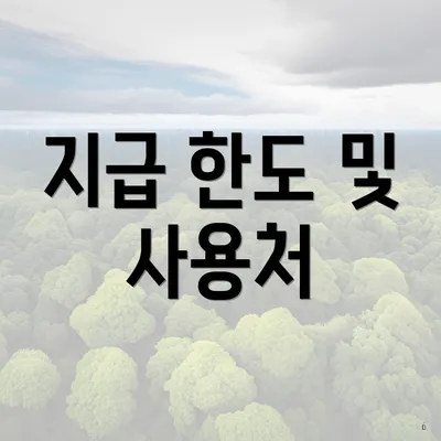 지급 한도 및 사용처