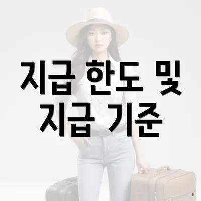 지급 한도 및 지급 기준